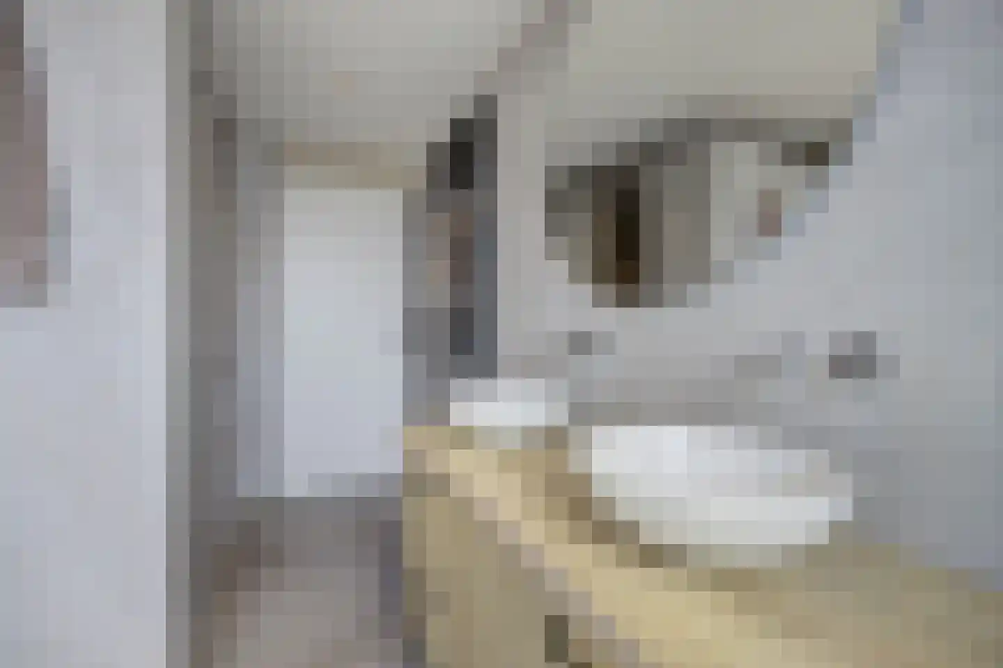 Guido Gezellelaan 18 Etten-Leur thumbnail 32