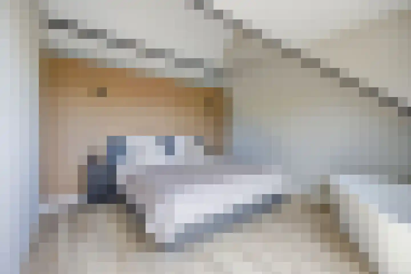 Guido Gezellelaan 18 Etten-Leur thumbnail 38