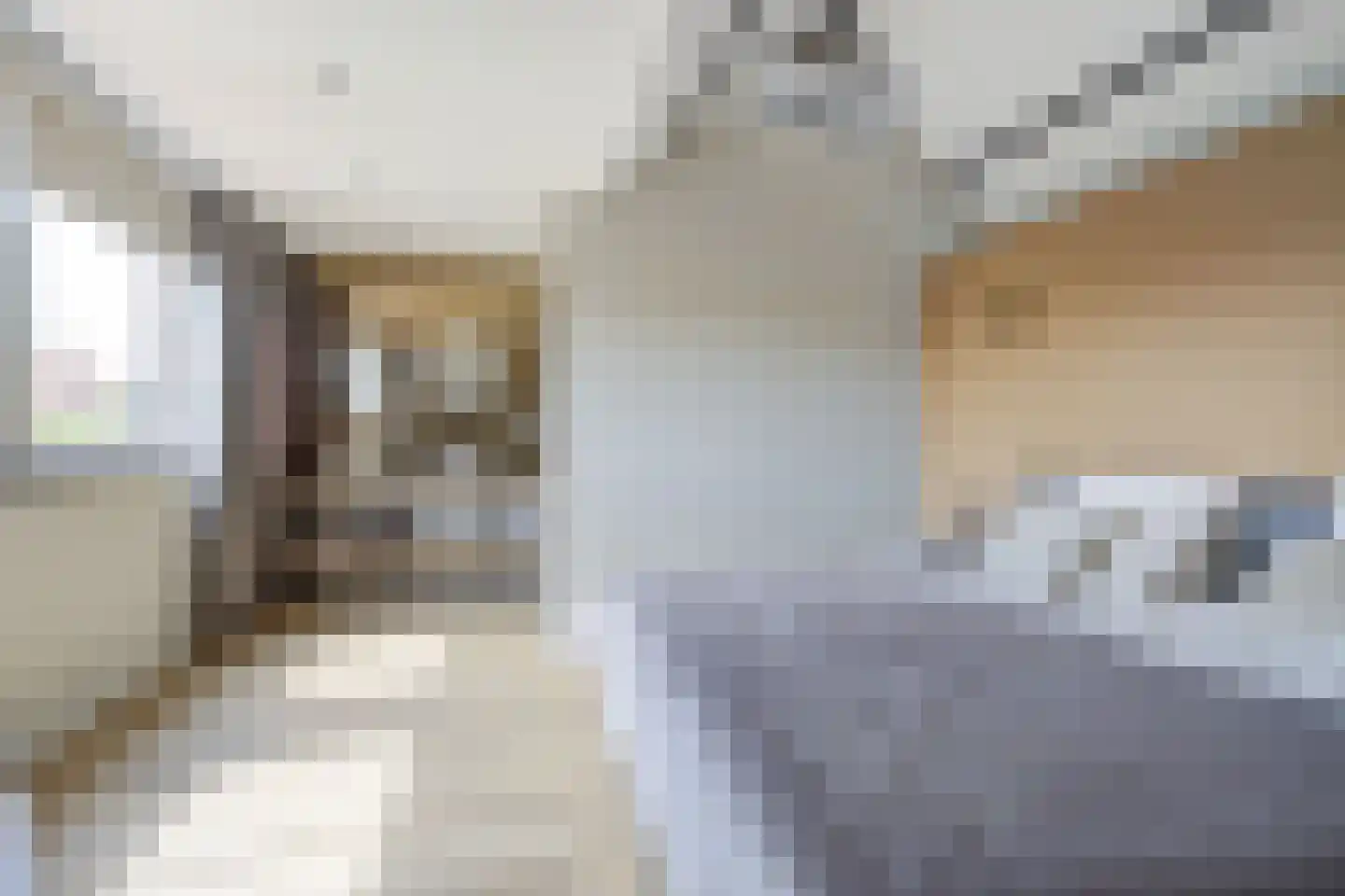 Guido Gezellelaan 18 Etten-Leur thumbnail 39