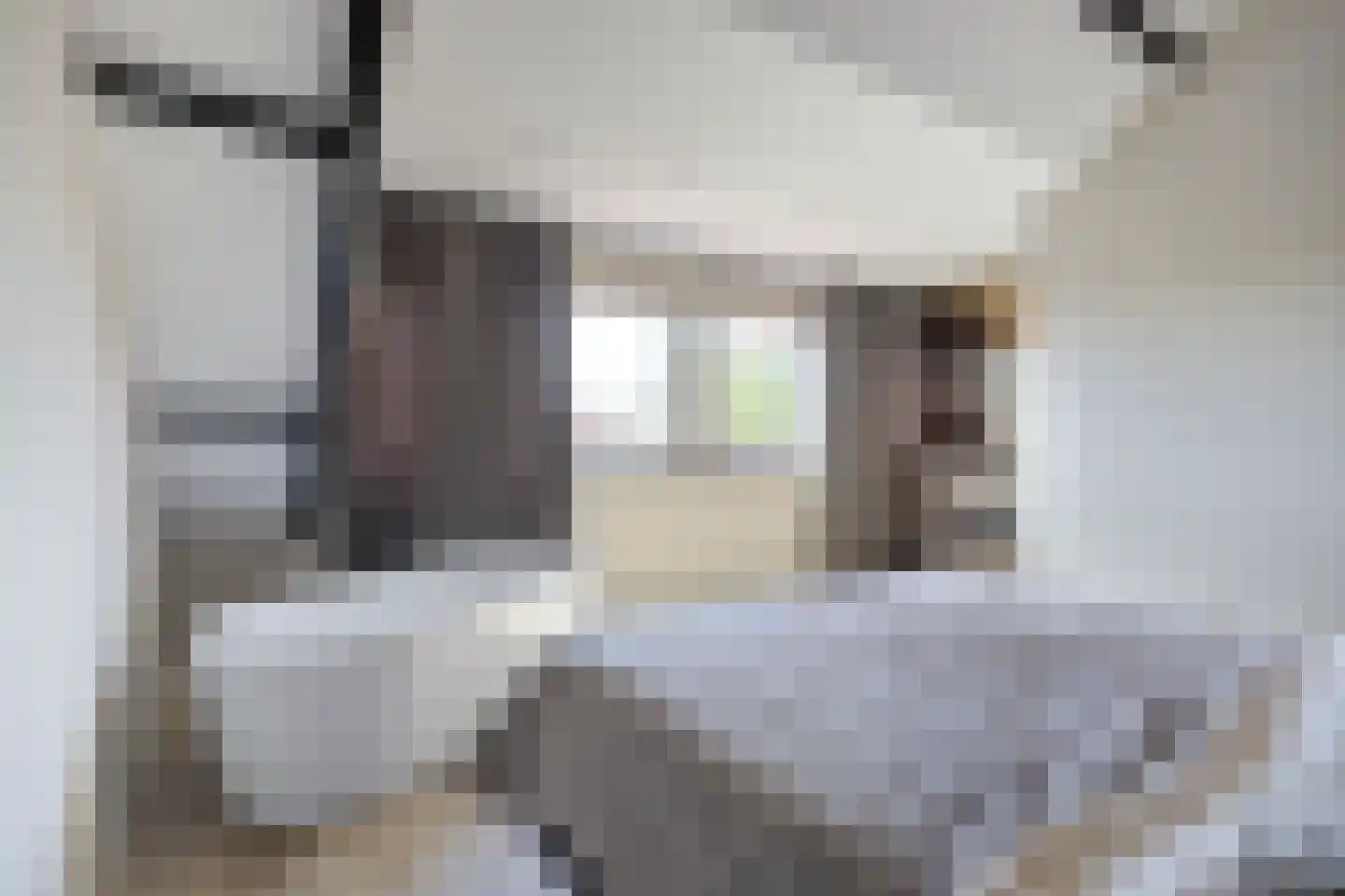 Guido Gezellelaan 18 Etten-Leur thumbnail 4