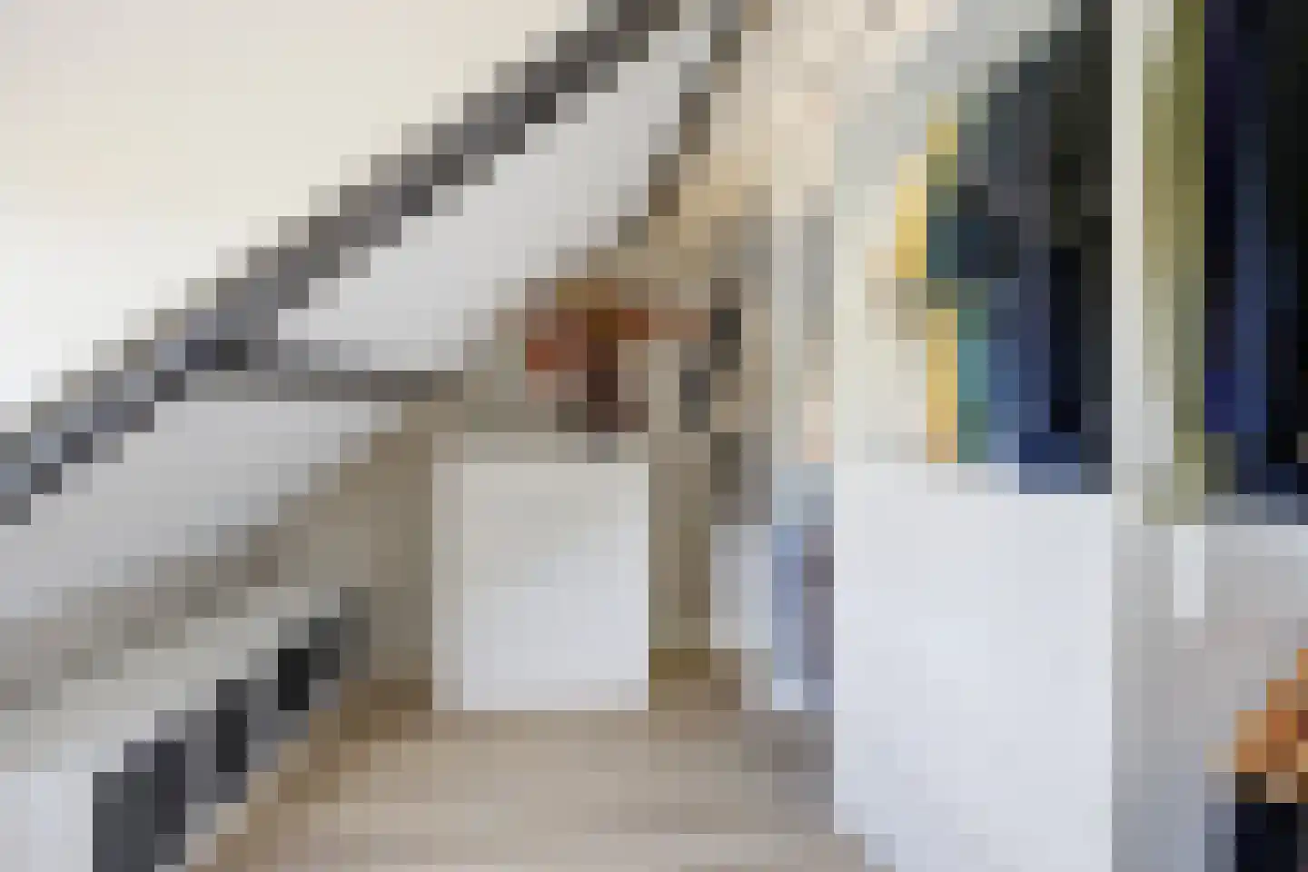 Guido Gezellelaan 18 Etten-Leur thumbnail 44