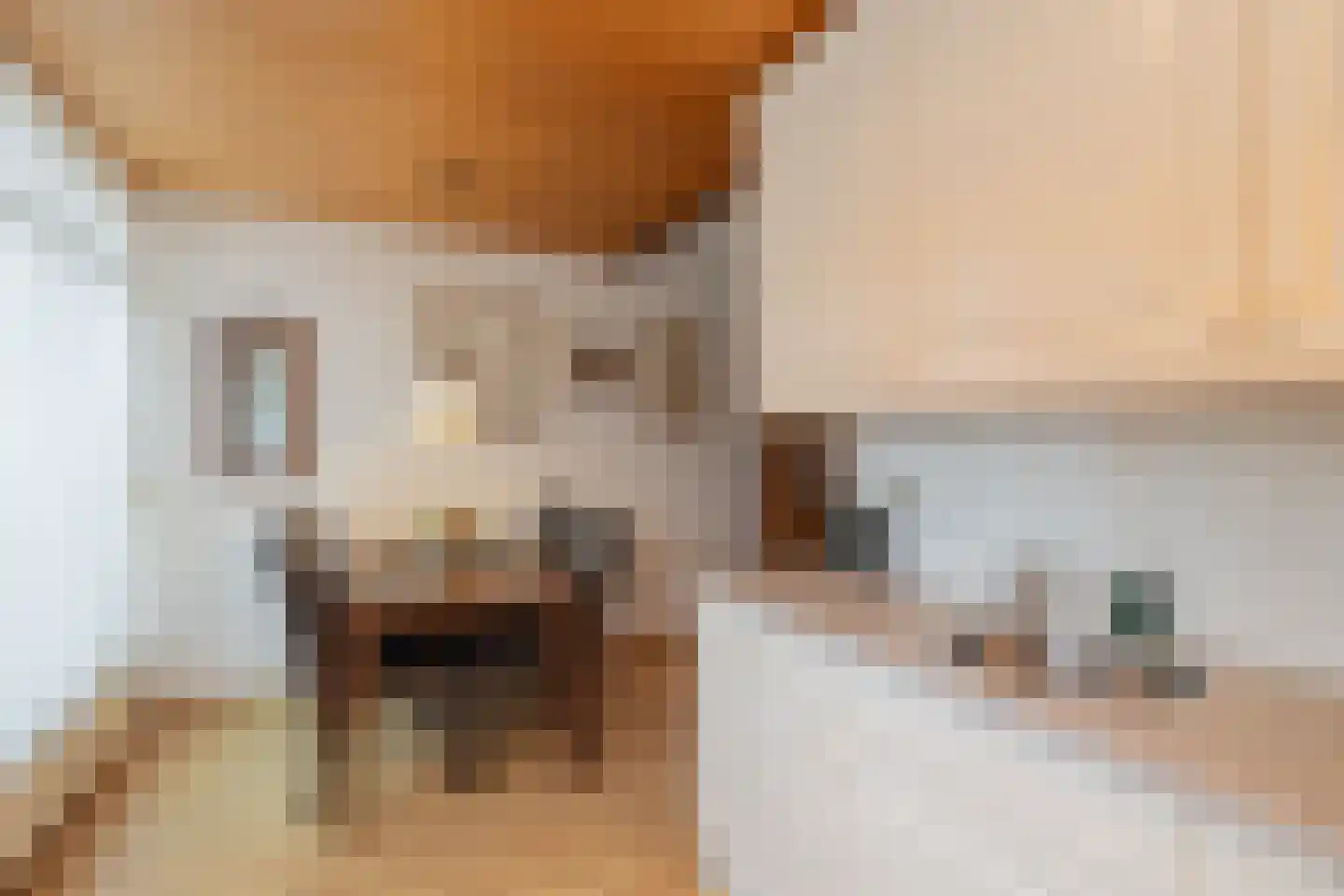 Guido Gezellelaan 20 Hillegom thumbnail 13