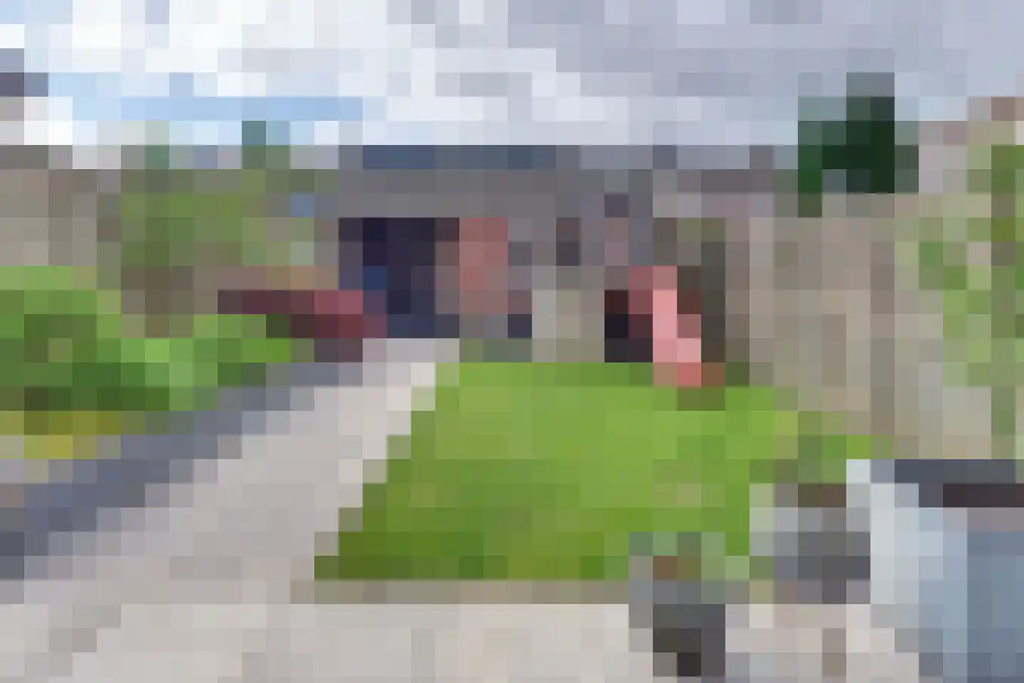 Guido Gezellelaan 24 Harderwijk thumbnail 40