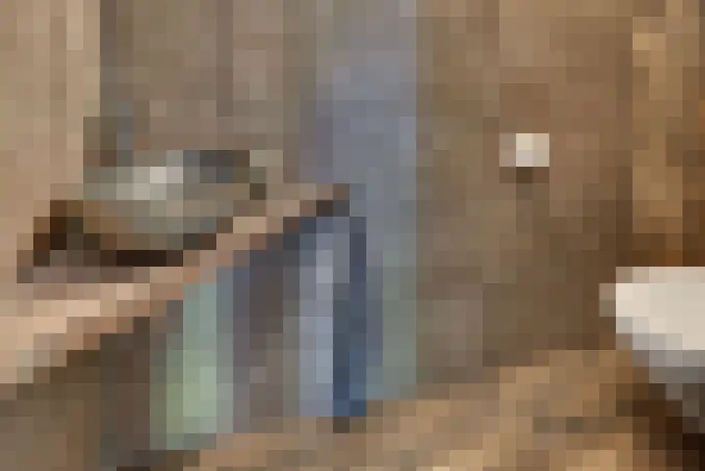 Guido Gezellelaan 24 Harderwijk thumbnail 8