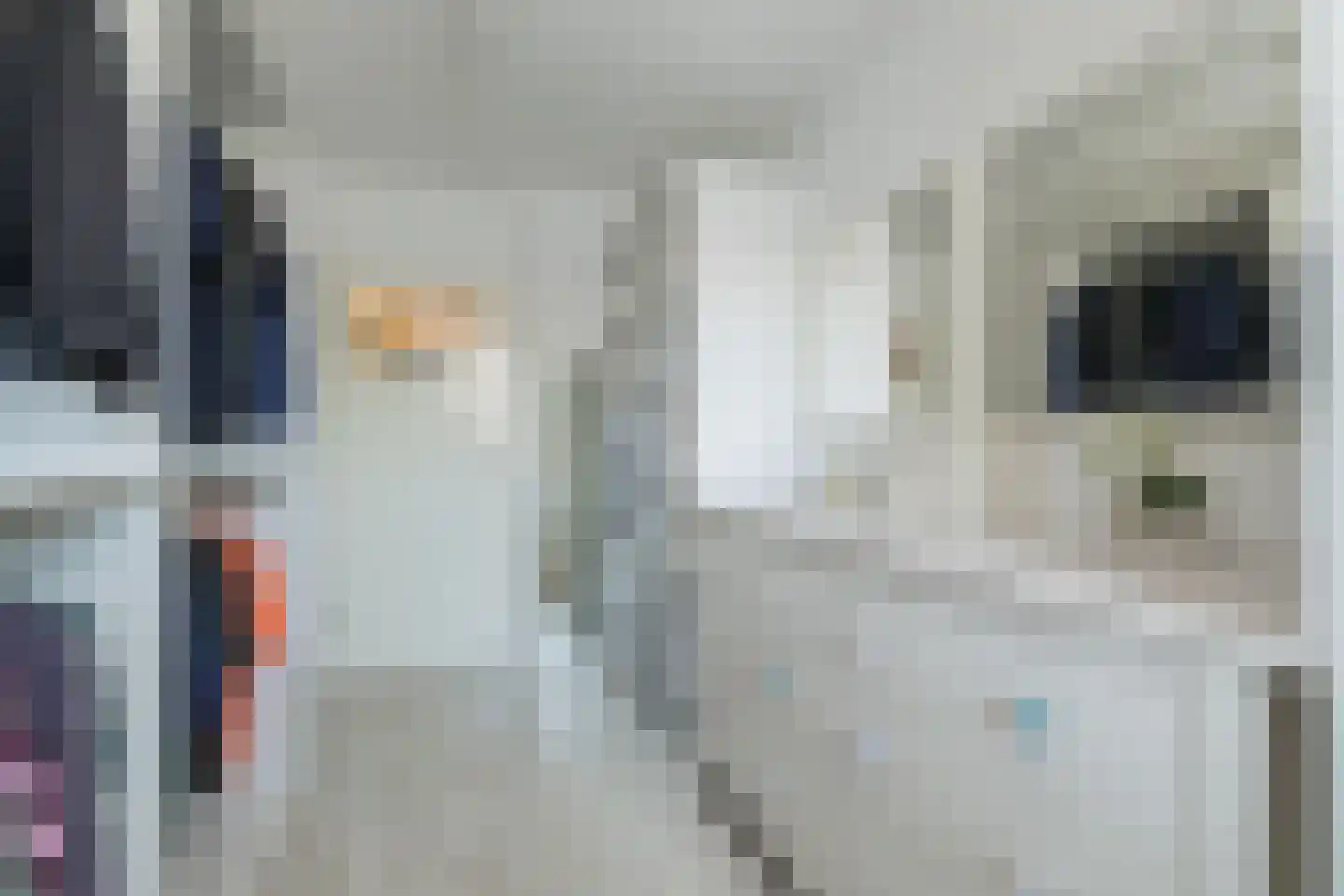 Guido Gezellelaan 25 Hillegom thumbnail 24