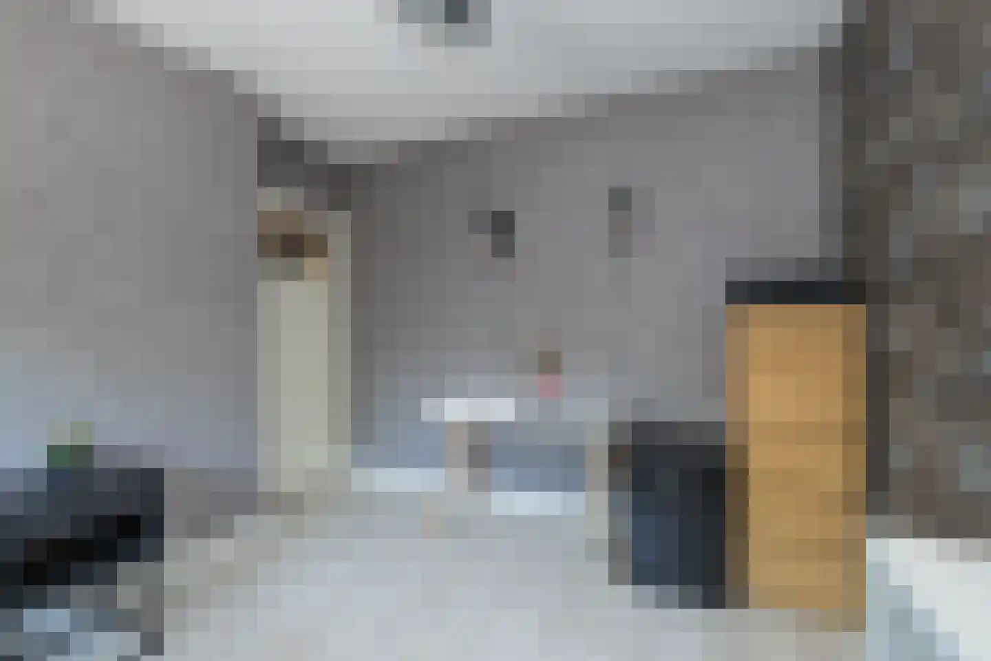 Guido Gezellelaan 25 Hillegom thumbnail 27