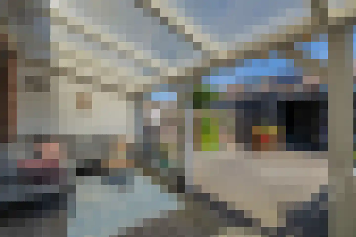 Guido Gezellelaan 25 Hillegom thumbnail 43