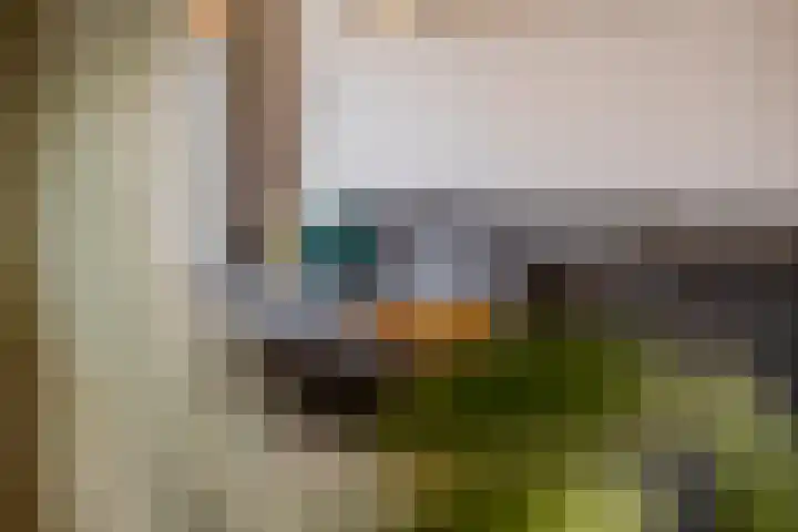 Guido Gezellelaan 26 Berkel-Enschot thumbnail 20