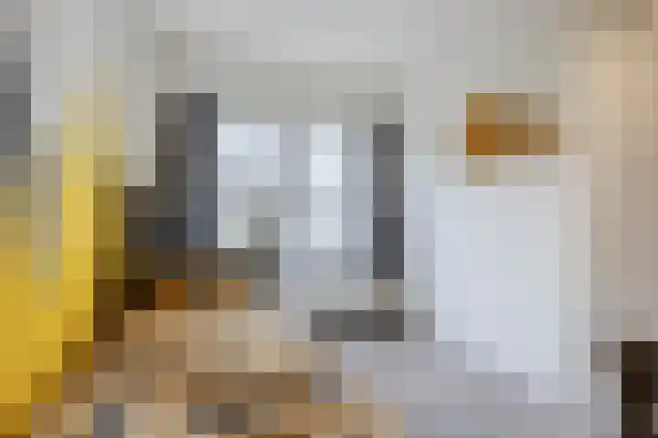 Guido Gezellelaan 26 Berkel-Enschot thumbnail 27