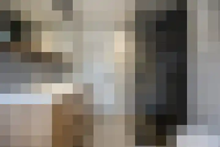 Guido Gezellelaan 26 Berkel-Enschot thumbnail 33