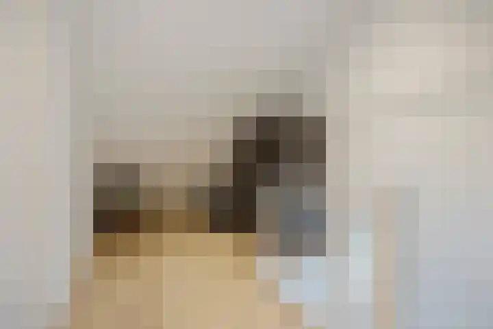 Guido Gezellelaan 26 Berkel-Enschot thumbnail 36
