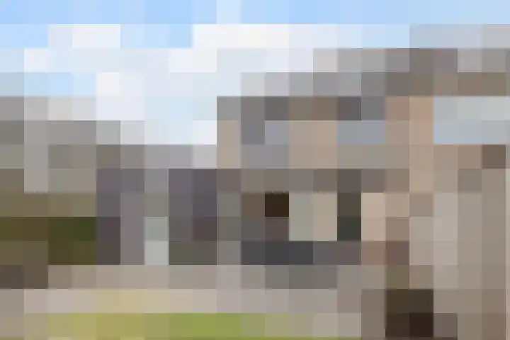 Guido Gezellelaan 26 Berkel-Enschot thumbnail 47