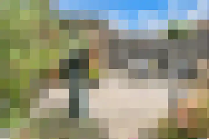 Guido Gezellelaan 29 Hillegom thumbnail 21