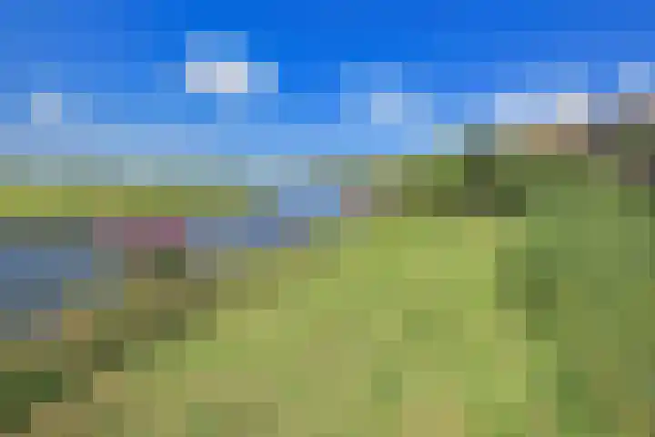 Guido Gezellelaan 29 Hillegom thumbnail 34
