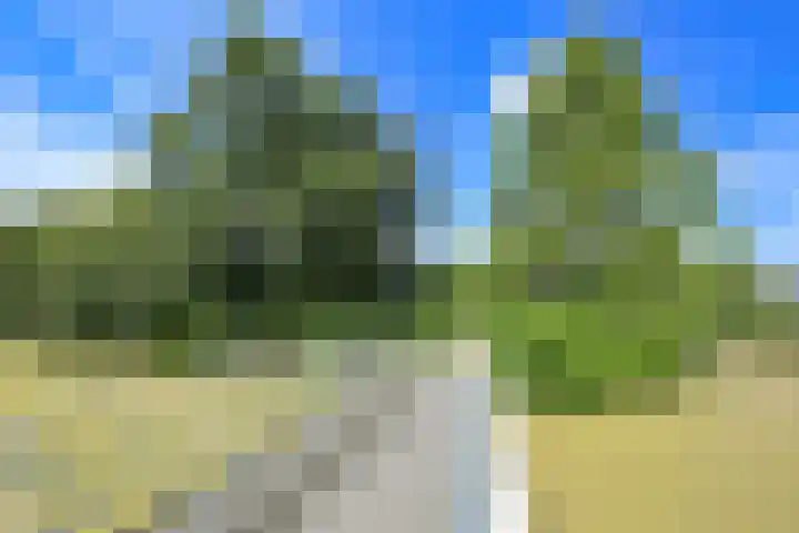 Guido Gezellelaan 29 Hillegom thumbnail 36