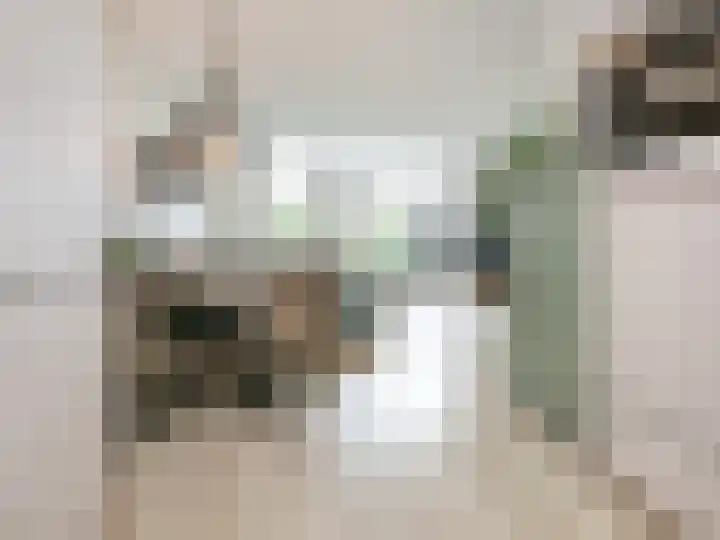 Guido Gezellelaan 29 Hillegom thumbnail 6