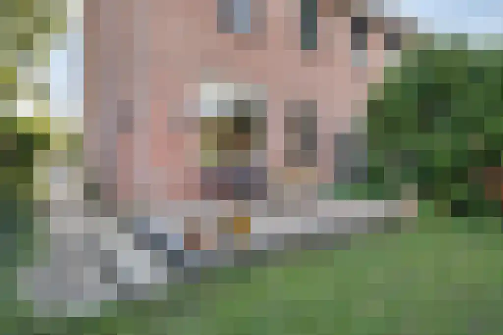 Guido Gezellelaan 35 Hillegom thumbnail 26