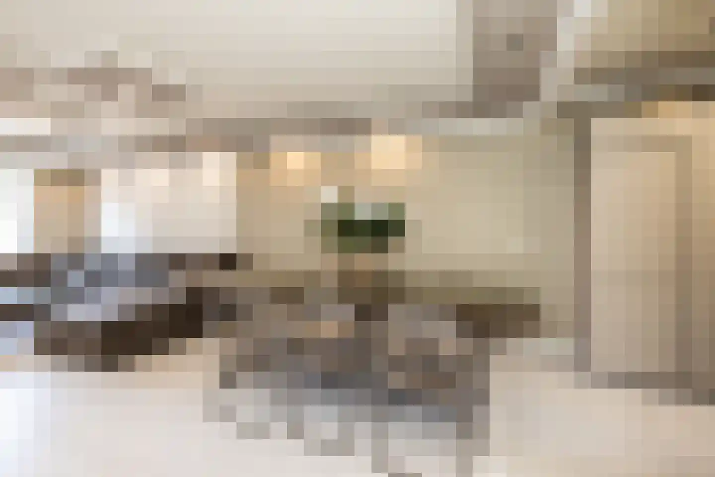 Guido Gezellelaan 38 Hillegom thumbnail 14