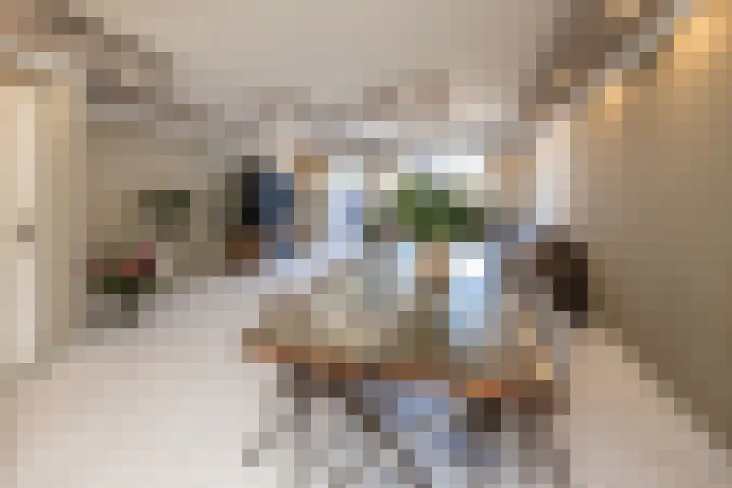 Guido Gezellelaan 38 Hillegom thumbnail 15