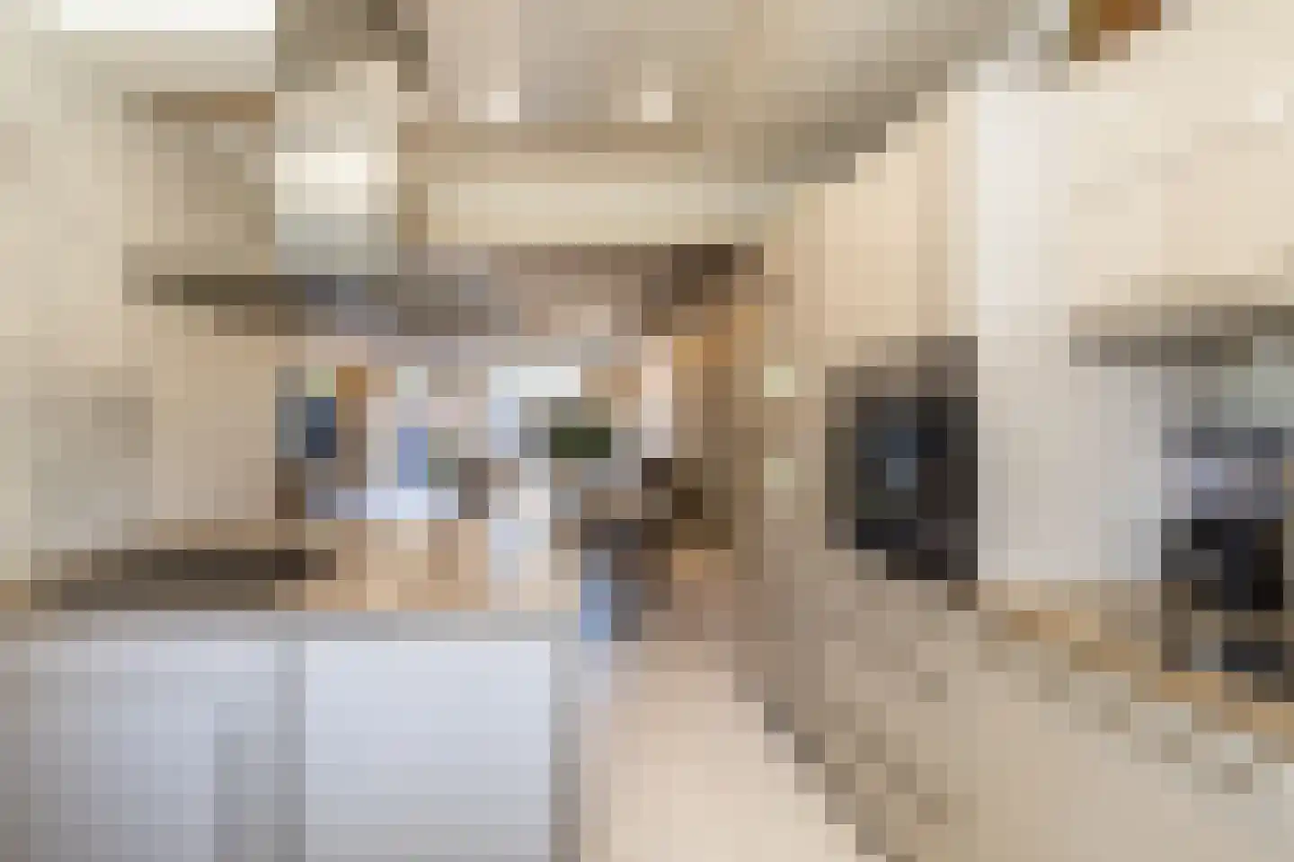 Guido Gezellelaan 38 Hillegom thumbnail 19