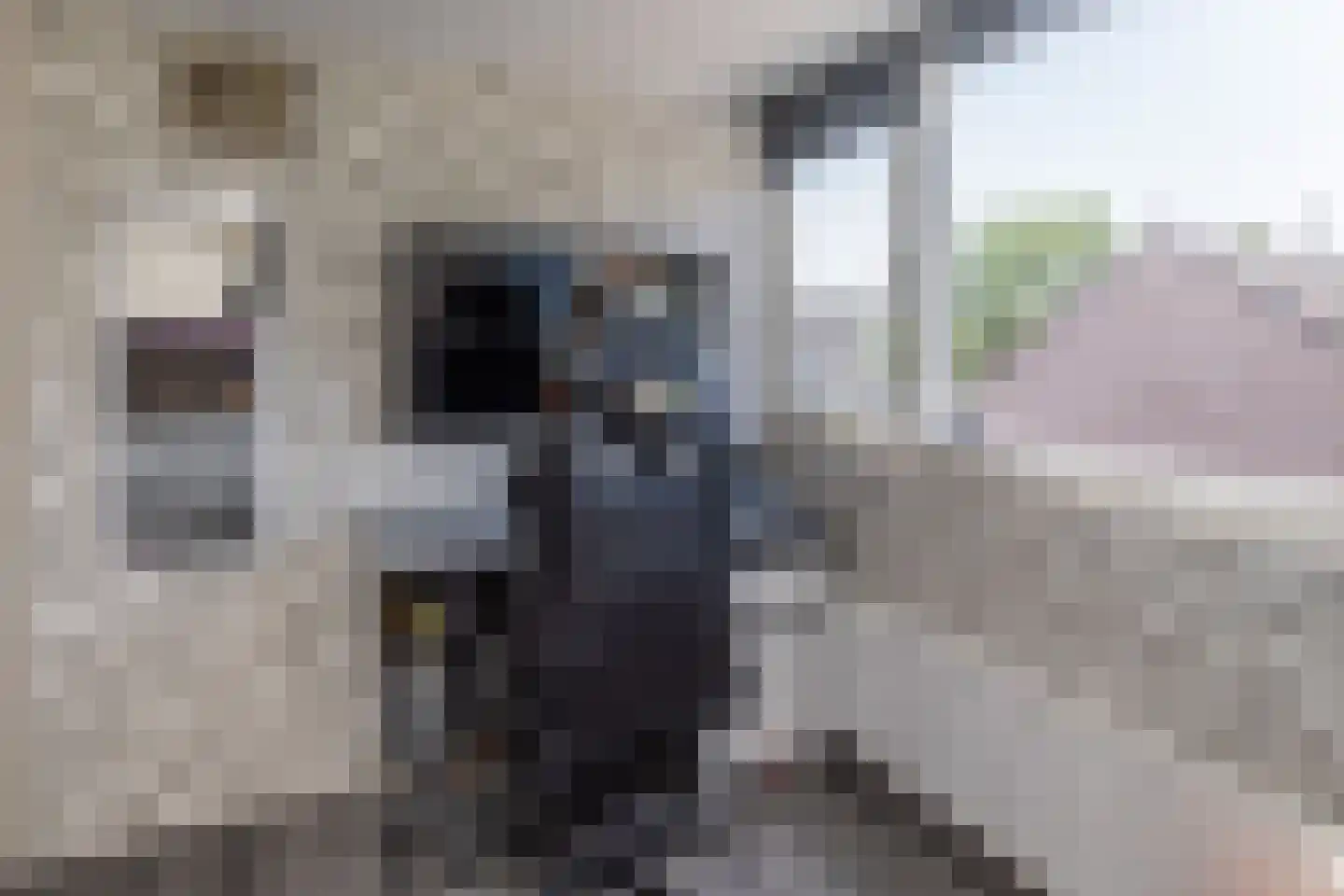 Guido Gezellelaan 38 Hillegom thumbnail 31