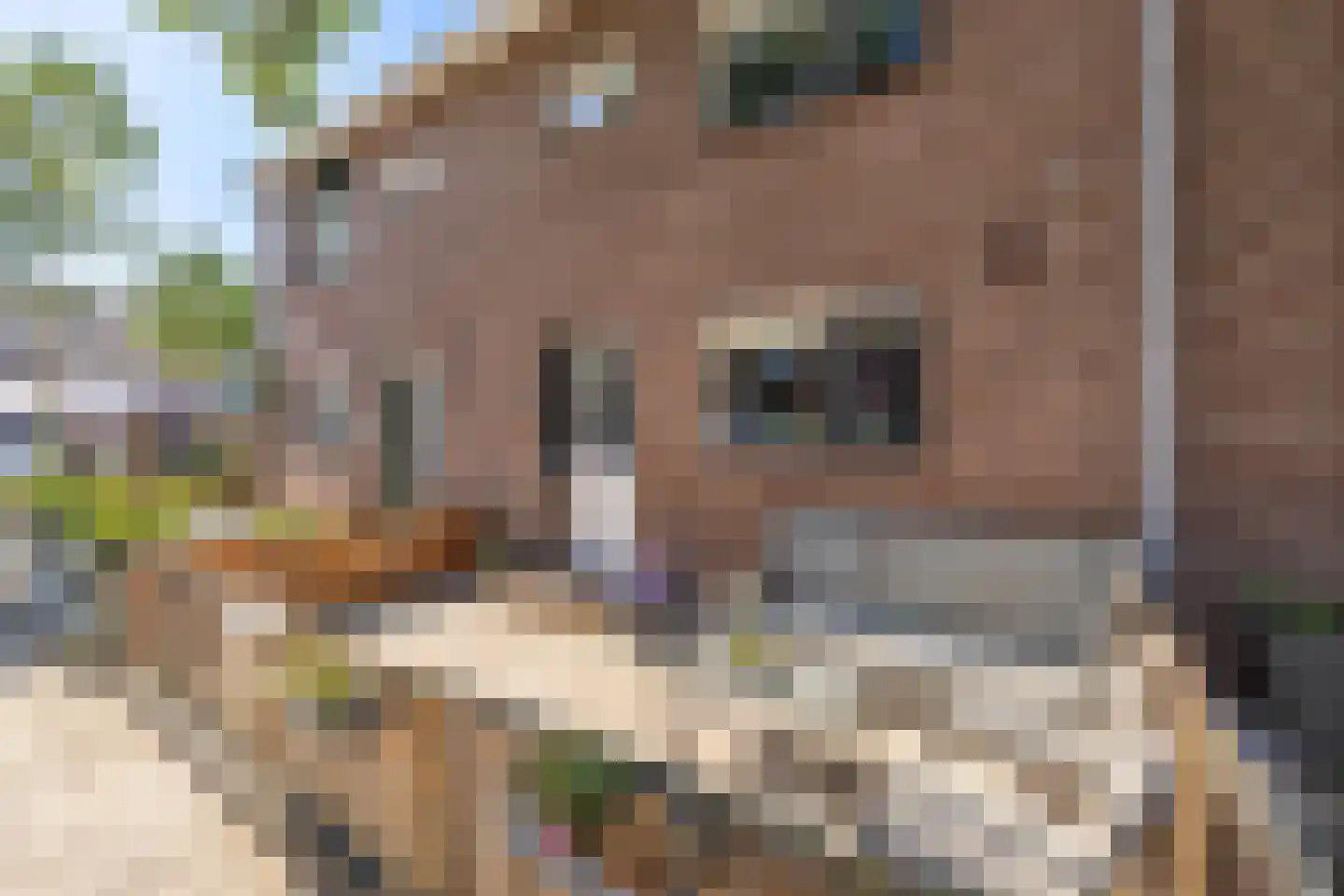 Guido Gezellelaan 38 Hillegom thumbnail 6