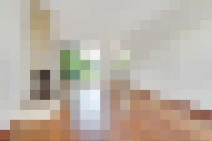 Guido Gezellelaan 4 Uithoorn thumbnail 12