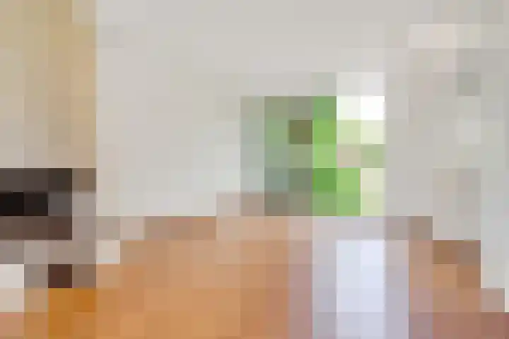 Guido Gezellelaan 4 Uithoorn thumbnail 14