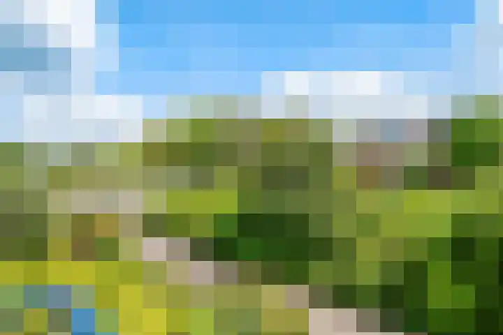 Guido Gezellelaan 4 Uithoorn thumbnail 22