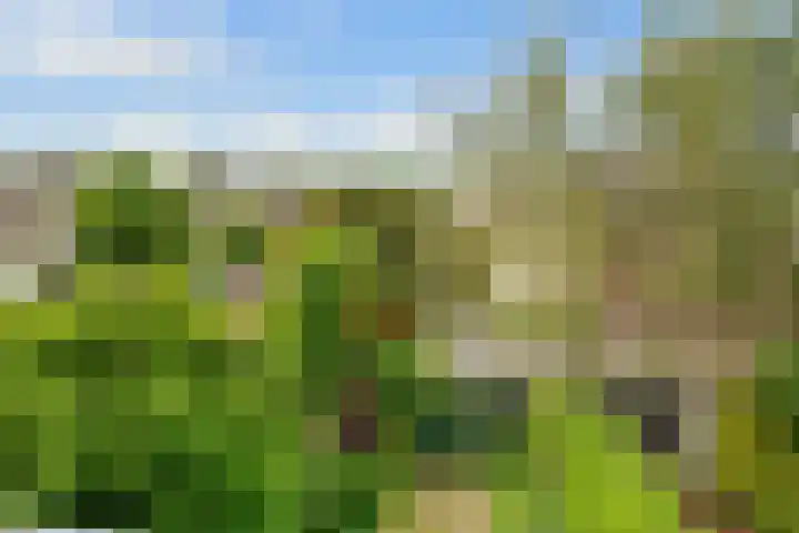 Guido Gezellelaan 4 Uithoorn thumbnail 28