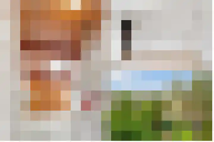 Guido Gezellelaan 4 Uithoorn thumbnail 32