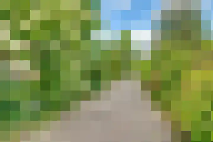 Guido Gezellelaan 4 Uithoorn thumbnail 45