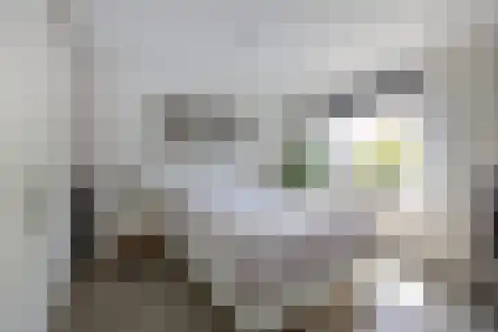 Guido Gezellelaan 42 Etten-Leur thumbnail 16