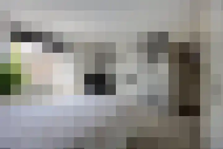 Guido Gezellelaan 42 Etten-Leur thumbnail 17