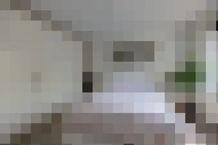 Guido Gezellelaan 42 Etten-Leur thumbnail 18