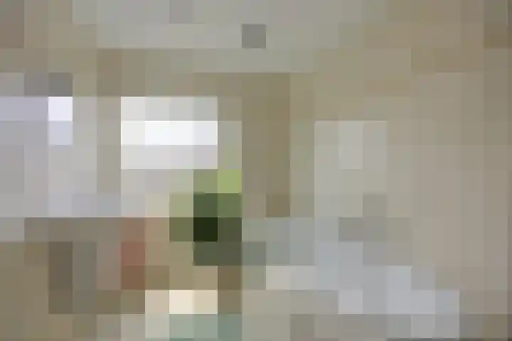 Guido Gezellelaan 42 Etten-Leur thumbnail 21
