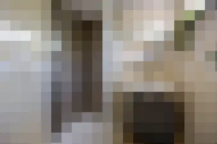 Guido Gezellelaan 42 Etten-Leur thumbnail 24