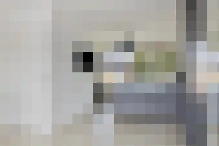 Guido Gezellelaan 49 Oosterhout thumbnail 15