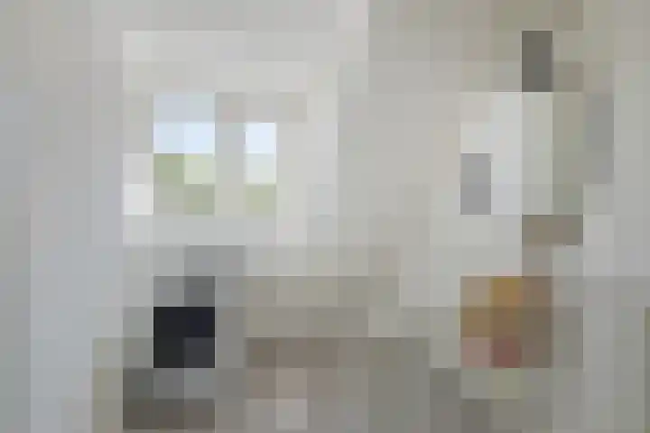 Guido Gezellelaan 49 Oosterhout thumbnail 22