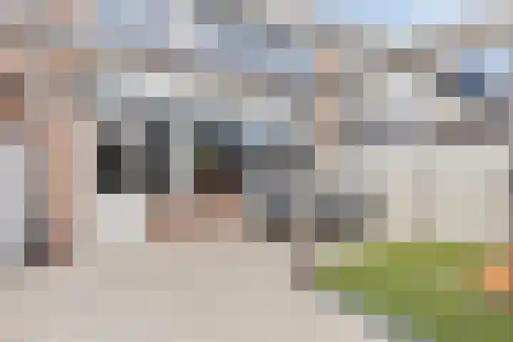 Guido Gezellelaan 49 Oosterhout thumbnail 25