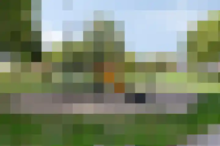 Guido Gezellelaan 49 Oosterhout thumbnail 30