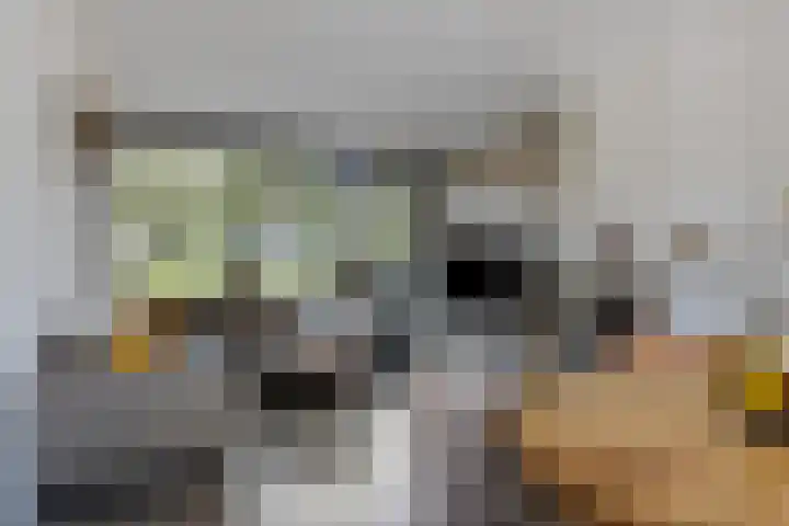Guido Gezellelaan 49 Oosterhout thumbnail 7