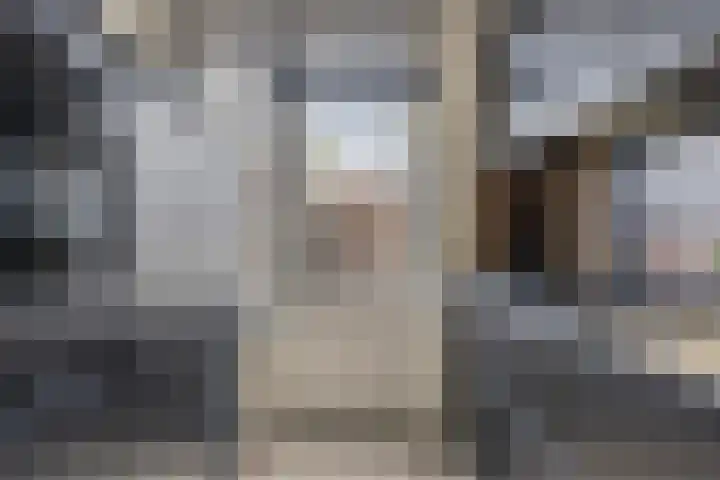 Guido Gezellelaan 49 Oosterhout thumbnail 8