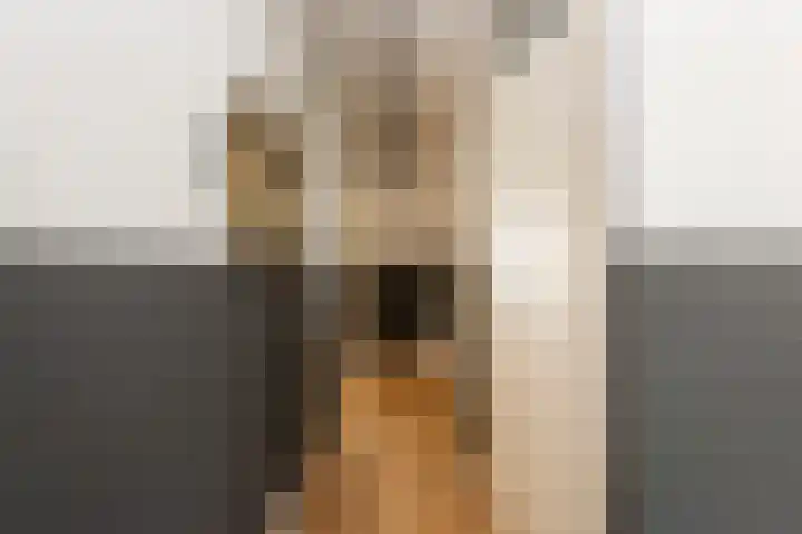 Guido Gezellelaan 5 Berkel-Enschot thumbnail 10