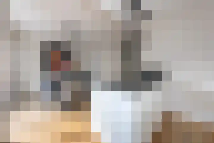 Guido Gezellelaan 5 Berkel-Enschot thumbnail 17