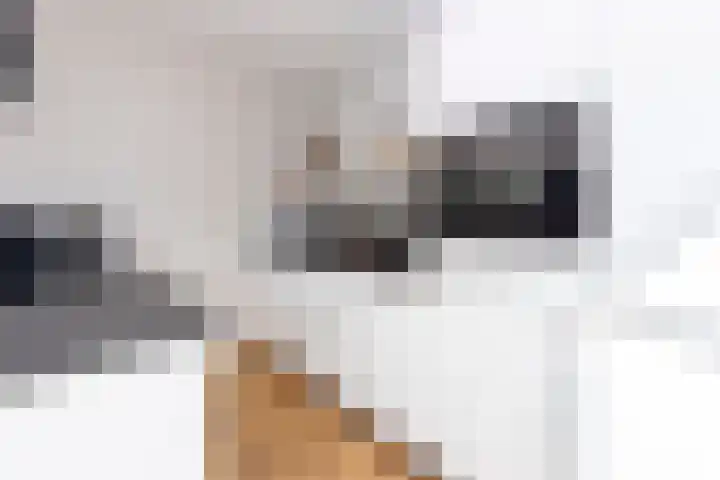 Guido Gezellelaan 5 Berkel-Enschot thumbnail 18