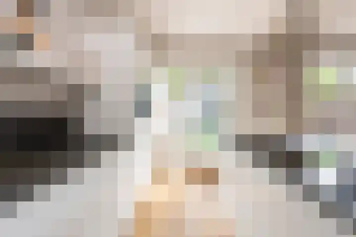 Guido Gezellelaan 5 Berkel-Enschot thumbnail 19
