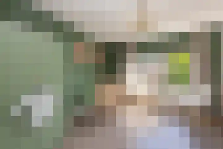 Guido Gezellelaan 5 Berkel-Enschot thumbnail 23