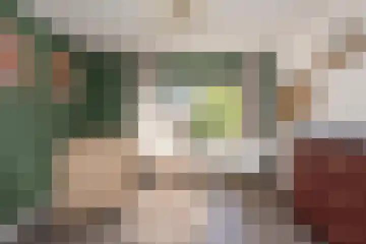Guido Gezellelaan 5 Berkel-Enschot thumbnail 24
