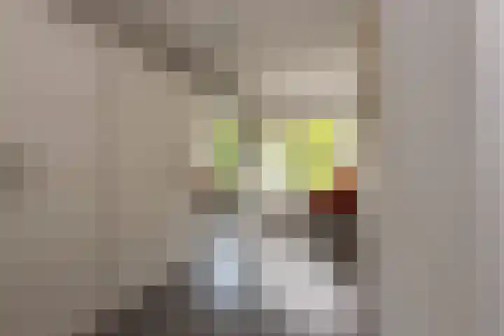 Guido Gezellelaan 5 Berkel-Enschot thumbnail 26